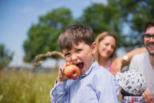 Little boy eating an apple on meadow in the countryside with  family in the background, Bavaria, Germany
