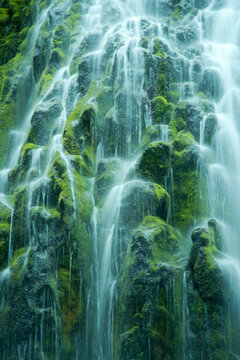 A closer look at Proxy Falls in Oregon