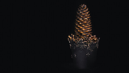 Beautiful big pine cone on a black background
