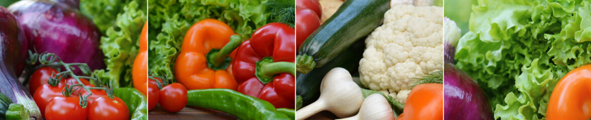 Panoramic collection fresh vegetables.Collage of vegetables. Juicy ripe vegetables . Healthy fresh food. Vegetarianism and veganism. Food collage.