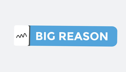 Big reason button web banner templates. Vector Illustration

