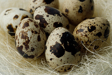 Quail eggs in nest on light gray background. Easter concept. Natural, organic farm products. Close-up