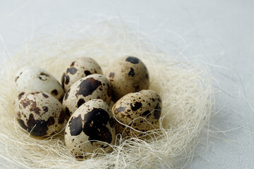 Quail eggs in nest on light gray background. Easter concept. Natural, organic farm products.  Copy space. Place for text.