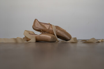 ballet slippers white background