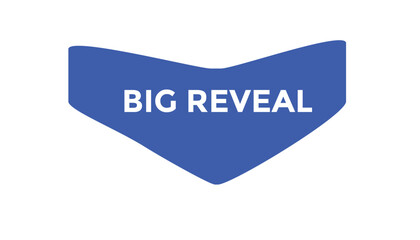 Big reveal button web banner templates. Vector Illustration
