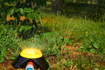 Irrigation system, sprinkler watering flowers on a hot day in a city park