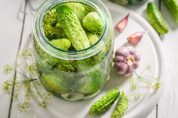 Homemade and tasty pickled cucumber with garlic, salt and dill.