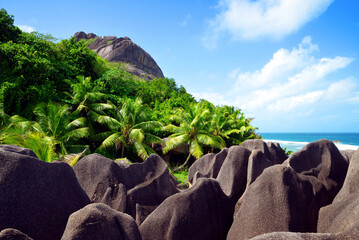 Tropical landscape near Anse Source d'Argent beach. La Digue island, Indian Ocean, Seychelles.