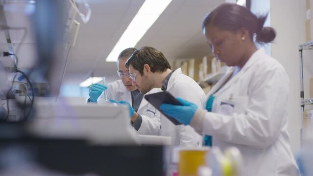 Handheld shot of doctors doing scientific experiment in laboratory