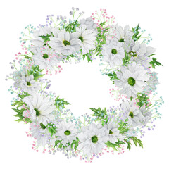 Hand-drawn watercolor wreath with white chrysanthemum with colored gypsophila