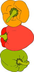 Pepper red yellow green hand drawn, PNG.