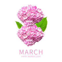International Women's Day. Numeral 8 from beautiful pink hydrangea flowers, green leaves on white...