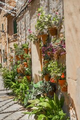 Fototapeta na wymiar Das pottoreske Dorf Valledemossa auf Mallorca ist ein Hotspot für Touristen. 