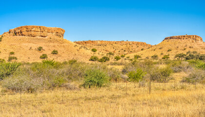 Fototapeta na wymiar Auob River Valley, Kalahari desert, Namibia