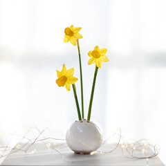 Drei gelbe Narzissen in einer weißen Vase vor weißem Hintergrund mit festlichem Glitzer für Ostern. Viel Platz für Text