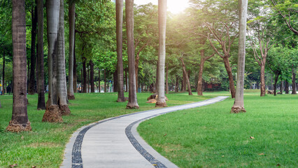 Aerial photo of outdoor green park road ground