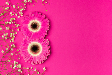 Gerbera in the form of the number 8 and a gypsophile on a pink background. The concept of International Women's Day.