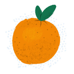 Orange citrus with leaves hand-drawn illustration with textures. Healthy organic food concept. Elements on different layers for ease of use. Full vector. Transparent background.