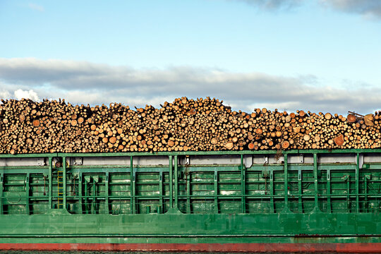 Holzfracht im Hafen angekommen