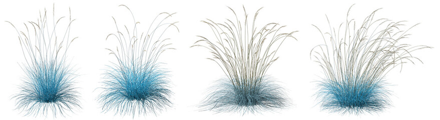Fototapeta premium Blue long feather grassy field cutout transparent backgrounds 3d illustration png