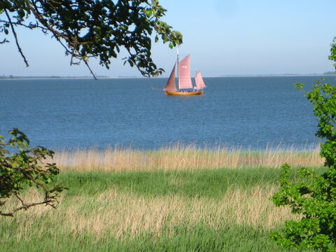 traditionelles Zeesenboot auf dem Bodden am Dar&szlig;