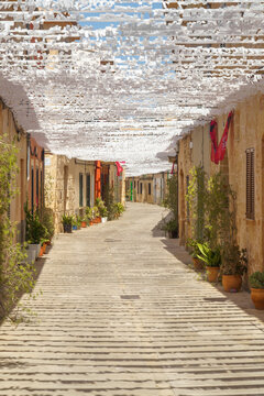 In den Gassen der Altstadt von Alc&uacute;dia auf Mallorca, Spanien, Europa.