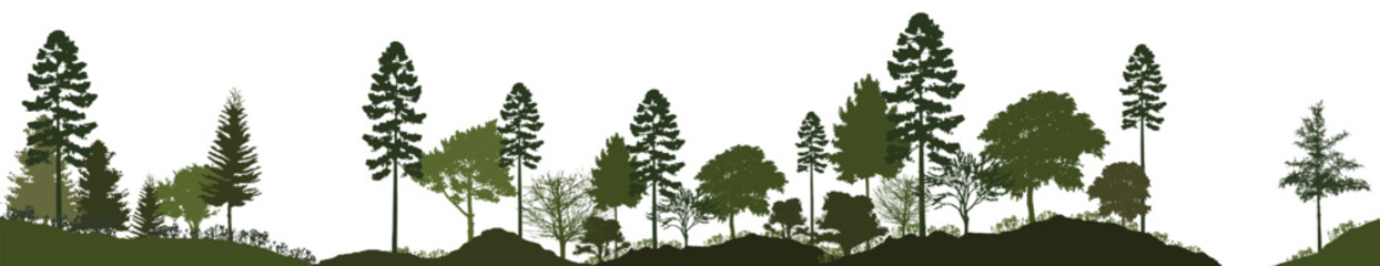 Forest silhouette trees. Vector illustration of every tree isolated. Evergreen forest side view green shadow, for seamless border, architecture and landscape design drawing. 
