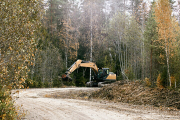 Vegetation removal with excavator forestry mulcher head.