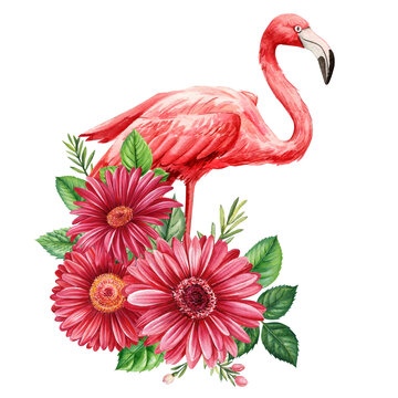 flamingo and flower decoration on isolated white background. Hand drawn botanical illustration