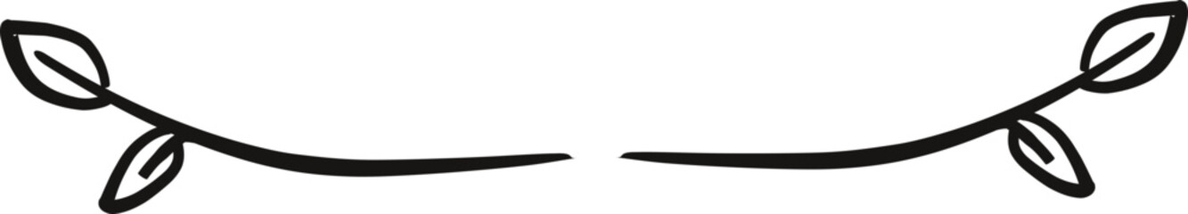 Text Divider