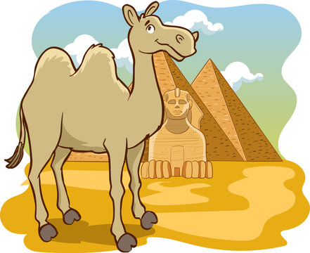 camel and pyramids cartoon vector 