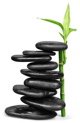 Balance zen stone with green Bamboo