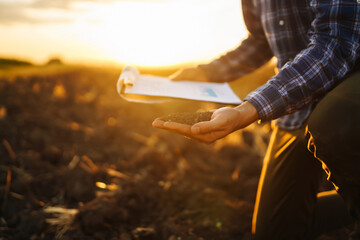 Expert hand of farmer checking soil health before growth a seed of vegetable or plant seedling. ...
