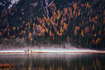 Autumn colours of Lake Toblacher See, Lago di Dobbiaco in Dolomites Italy