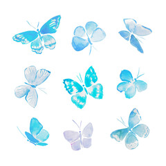 Fototapeta na wymiar Blue butterflies, pastel butterfly, insects, watercolor illustration 