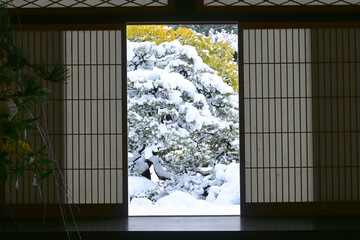 京都市岩倉 妙満寺の雪見障子越しの雪の庭