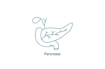 human pancreas line icon vector illustration 