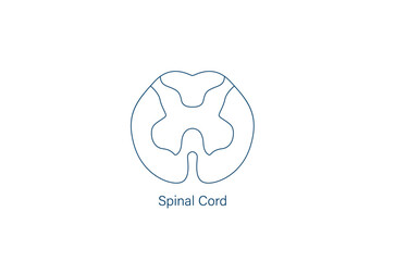 human spinal cord line icon vector illustration  - obrazy, fototapety, plakaty