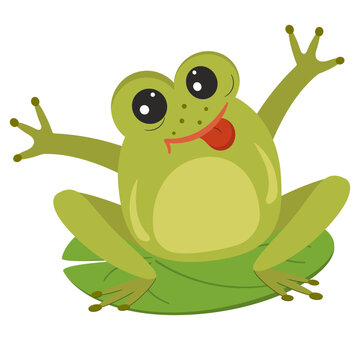 A cheerful frog with his tongue hanging out sits on a leaf of a water lily