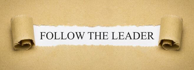 Follow the Leader