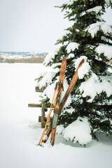 Wooden old fashioned skis and poles in the snow - 568034575