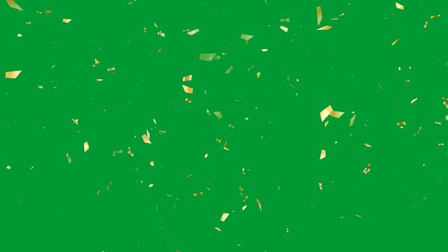 particles falling down with green screen 4k fps60