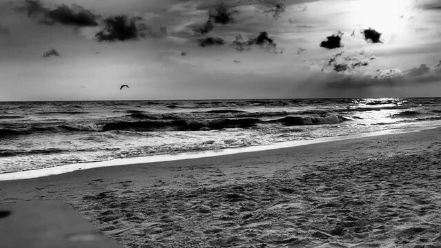 Storm waves roll on the sandy shore. Water movement. The waves are foaming. Black Sea. Bad weather on the coast, gray clouds. Salty water. Rest and vacation. Black and white monochrome photo