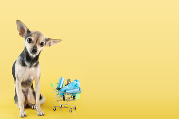 cute dog with a supermarket trolley with pet goods on a yellow background, buying dog accessories, copy space