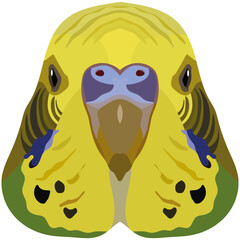 Budgerigar. An illustration of the muzzle of a small domestic bird is depicted. A bright portrait is depicted on a white background. Vector graphics. Animal logo