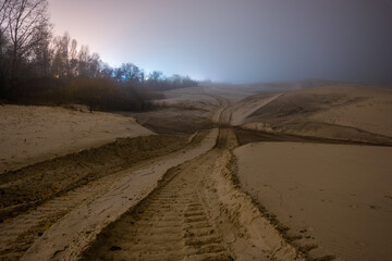 landscape on sand forest in the night . Night landscape. Nightsky and clouds . Stars in the sky . 