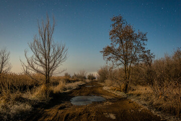 Fototapeta na wymiar sunrise in the forest Forest in the night . Night landscape. Nightsky and clouds . Stars in the sky . Lights of the moon . Evening forest . Landscapes of Ukraine . Night and morning time 