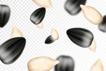 Sunflower seed background. Flying sunflower seed isolated on transparent background. Selective focus. Can be used for advertising, packaging, banner. Realistic 3d design. Vector illustration