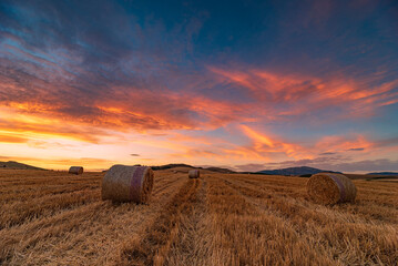 Hay bale field at sunset, Sicily IT