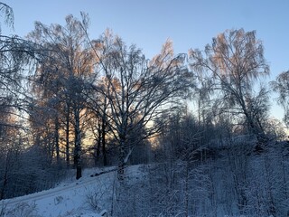 Snowy winter landscape